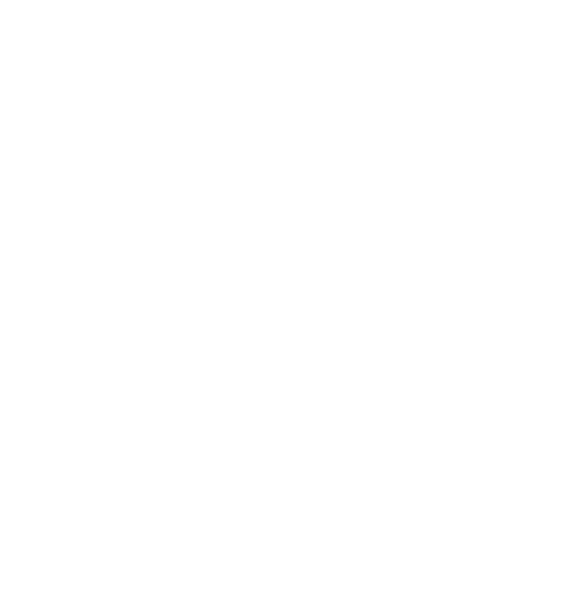 Team Lausanne Academy